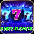 andy flower Pakistan VIP v2.8.3