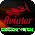 cricket pitch Premium Jackpot