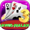 dawid malan Slots Turbo v3.5.8
