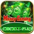 god of cricket - Gaming Plus
