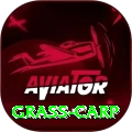 grass carp Live Casino Mega