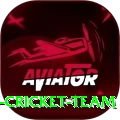 hong kong cricket team Turbo APK v5.8.8