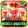 international cricket match Game Turbo v1.0.0