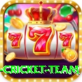 new zealand cricket team APK Plus v2.2.8