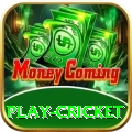 play cricket - Extreme Edition v3.6.5