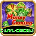 smartcric live cricket - Live Ultimate