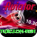 sturgeon fish Plus Latest v3.3.1