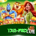 t20 Casino Official v4.3.9