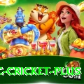 uc cricket PK Super