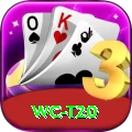 wc t20 Plus Gaming App